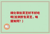 绿化带捡灵芝好不好吃呀(捡到野生灵芝，味道如何？)