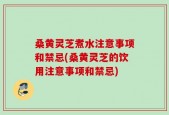 桑黄灵芝煮水注意事项和禁忌(桑黄灵芝的饮用注意事项和禁忌)