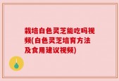栽培白色灵芝能吃吗视频(白色灵芝培育方法及食用建议视频)