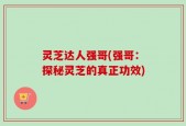 灵芝达人强哥(强哥：探秘灵芝的真正功效)