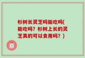 杉树长灵芝吗能吃吗(能吃吗？杉树上长的灵芝真的可以食用吗？)