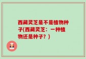 西藏灵芝是不是植物种子(西藏灵芝：一种植物还是种子？)