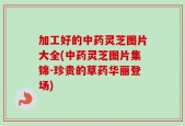 加工好的中药灵芝图片大全(中药灵芝图片集锦-珍贵的草药华丽登场)