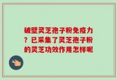 破壁灵芝孢子粉免疫力？已采集了灵芝孢子粉的灵芝功效作用怎样呢