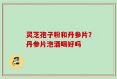 灵芝孢子粉和丹参片？丹参片泡酒喝好吗