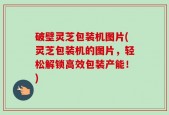 破壁灵芝包装机图片(灵芝包装机的图片，轻松解锁高效包装产能！)
