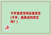 千岁是灵芝吗还是灵芝(千岁，是真正的灵芝吗？)
