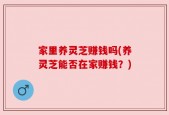 家里养灵芝赚钱吗(养灵芝能否在家赚钱？)