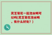 灵芝菊花一起泡水喝可以吗(灵芝菊花泡水喝，有什么好处？)