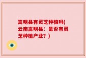 嵩明县有灵芝种植吗(云南嵩明县：是否有灵芝种植产业？)
