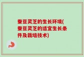 蚕豆灵芝的生长环境(蚕豆灵芝的适宜生长条件及栽培技术)