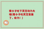 傻小子吃下灵芝功力大增(傻小子吃灵芝变强了，给力！)