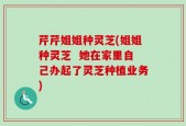 芹芹姐姐种灵芝(姐姐种灵芝  她在家里自己办起了灵芝种植业务)