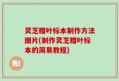 灵芝腊叶标本制作方法图片(制作灵芝腊叶标本的简易教程)
