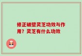 修正破壁灵芝功效与作用？灵芝有什么功效