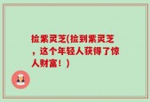 捡紫灵芝(捡到紫灵芝，这个年轻人获得了惊人财富！)