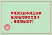 草龟煲土茯苓灵芝汤教程(草龟煲茯苓灵芝汤，养生简单易学)