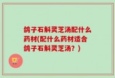 鸽子石斛灵芝汤配什么药材(配什么药材适合鸽子石斛灵芝汤？)