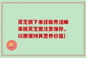 灵芝摘下来还能养活嘛采摘灵芝需注意保存，以便保持其营养价值)