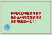 林间灵芝种植条件要求是什么林间灵芝的种植条件要求是什么？)
