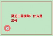 灵芝三萜提纯？什么是三萜