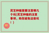 灵芝种植需要注意哪几个坑(灵芝种植的注意事项，助你避免这些坑！)