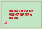 猪脚煲灵芝黄豆汤怎么做(猪脚灵芝黄豆汤的做法分享)