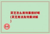灵芝怎么用效果很好呢(灵芝用法及效果详解)