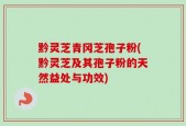 黔灵芝青冈芝孢子粉(黔灵芝及其孢子粉的天然益处与功效)