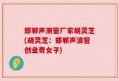 邯郸声测管厂家胡灵芝(胡灵芝：邯郸声波管创业奇女子)