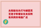 太阳能柱头灯与破壁灵芝孢子粉看似无关实则有共同市场推广点