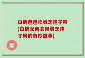 白鸽爸爸吃灵芝孢子粉(白鸽父亲食用灵芝孢子粉的奇妙故事)