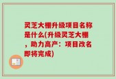 灵芝大棚升级项目名称是什么(升级灵芝大棚，助力高产：项目改名即将完成)