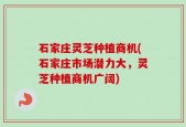 石家庄灵芝种植商机(石家庄市场潜力大，灵芝种植商机广阔)