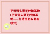 平远河头灵芝种植基地(平远河头灵芝种植基地——打造生态农业新模式)