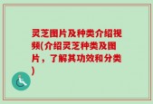 灵芝图片及种类介绍视频(介绍灵芝种类及图片，了解其功效和分类)