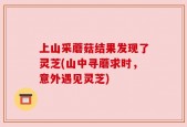 上山采蘑菇结果发现了灵芝(山中寻蘑求时，意外遇见灵芝)