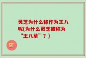灵芝为什么称作为王八呢(为什么灵芝被称为“王八草”？)