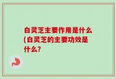 白灵芝主要作用是什么(白灵芝的主要功效是什么？