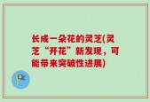 长成一朵花的灵芝(灵芝“开花”新发现，可能带来突破性进展)
