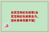 白灵芝枸杞车前草(白灵芝枸杞车前草合力，滋补身体效果不错)