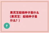 黑灵芝超级种子是什么(黑灵芝：超级种子是什么？)