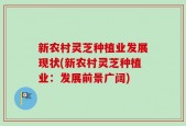 新农村灵芝种植业发展现状(新农村灵芝种植业：发展前景广阔)
