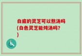 白底的灵芝可以熬汤吗(白色灵芝能炖汤吗？)