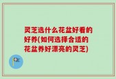 灵芝选什么花盆好看的好养(如何选择合适的花盆养好漂亮的灵芝)