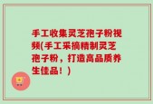 手工收集灵芝孢子粉视频(手工采摘精制灵芝孢子粉，打造高品质养生佳品！)