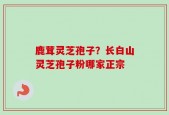 鹿茸灵芝孢子？长白山灵芝孢子粉哪家正宗