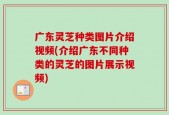 广东灵芝种类图片介绍视频(介绍广东不同种类的灵芝的图片展示视频)
