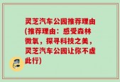 灵芝汽车公园推荐理由(推荐理由：感受森林微氧，探寻科技之美，灵芝汽车公园让你不虚此行)