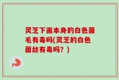 灵芝下面本身的白色菌毛有毒吗(灵芝的白色菌丝有毒吗？)